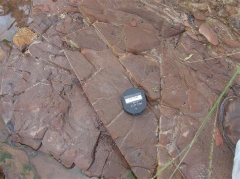 appearance billing chocolate brown shale  scientific diagram