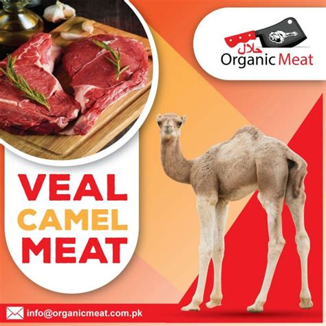 Camel Meat – Halal Organic Meat