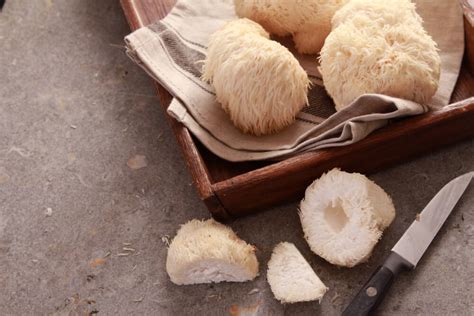 Ежовик гребенчатый (Hericium erinaceus)