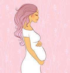 Pregnant sketch Royalty Free Vector Image - VectorStock