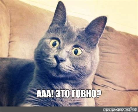 Meme: "ААА! ЭТО ГОВНО?" - All Templates - Meme-arsenal.com