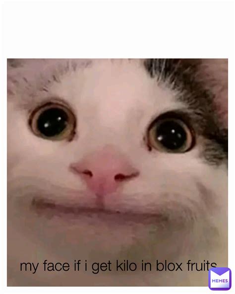 my face if i get kilo in blox fruits | @old_kapi | Memes