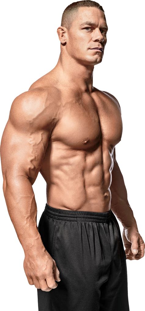 Bodybuilding PNG transparent image download, size: 1024x2201px