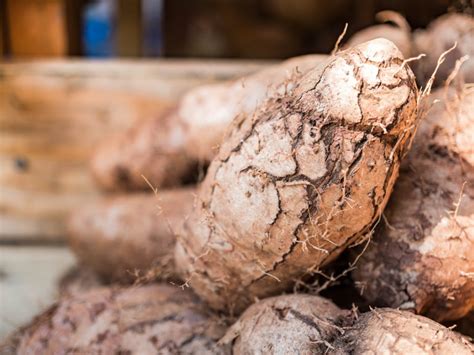 Yams Images