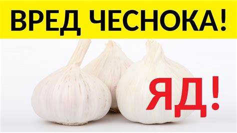 ВРЕД ЧЕСНОКА - YouTube
