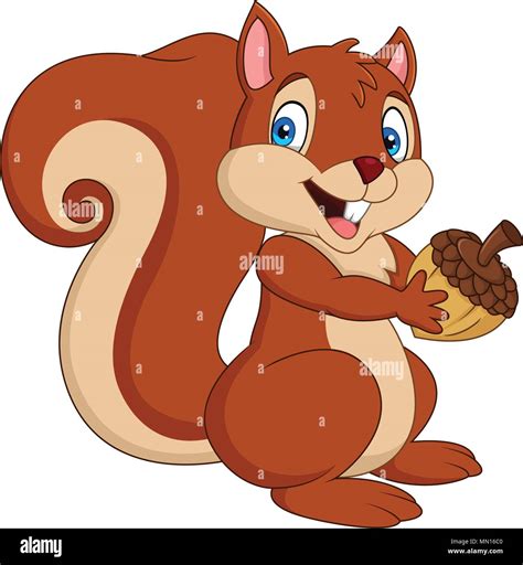 Cartoon squirrel holding an acorn Stock Vector Image & Art - Alamy