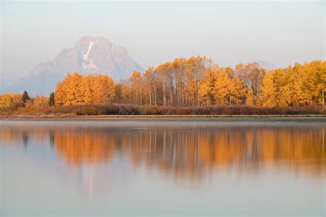 Fall Colors in Grand Teton National Park, WY 2024 - Rove.me