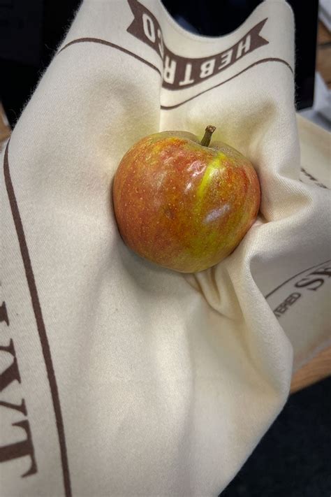 Apple Polishing Cloth - HebTroCo