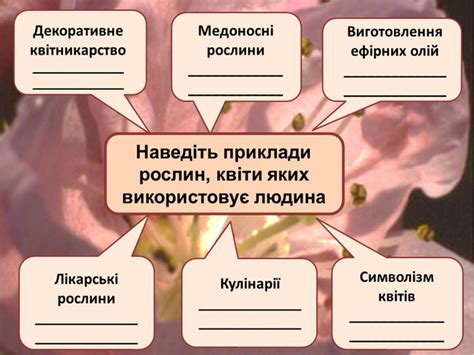 Презентація з біології 6 класу "Запилення"