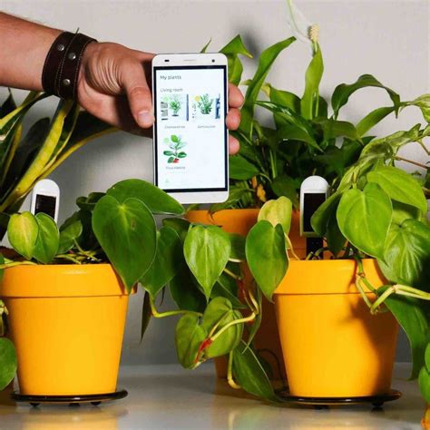 This Smart Houseplant Sensors Track Three Parameters