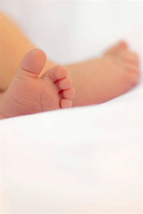 Baby's Feet Macro Photography · Free Stock Photo