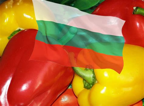 Болгарская диета: меню на 2 недели и отзывы