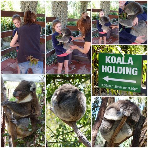 Gorge Wildlife Park | Cudlee Creek - What's on for Adelaide Families & Kids