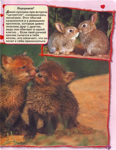 Журнал "Винни Пух" 2003 №02 - Милютенко Е.