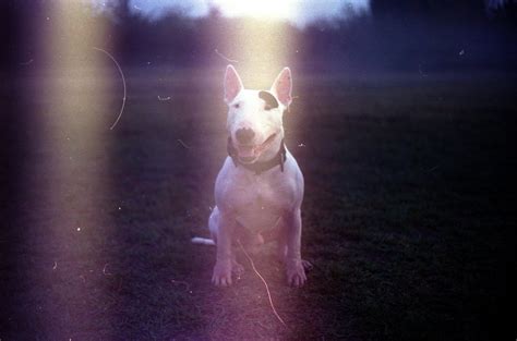 Untitled | Alexandru Paraschiv | Flickr