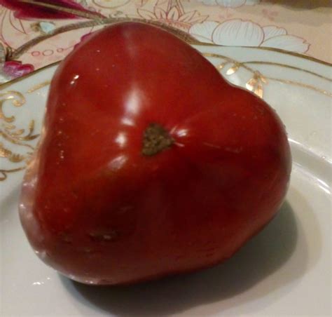 Dwarf Purple Heart (Гном Пурпурное Сердце) • СВеточки