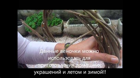 Плетеный венок из веток лиственных диревьев - YouTube