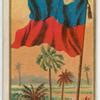 Hayti. - NYPL Digital Collections