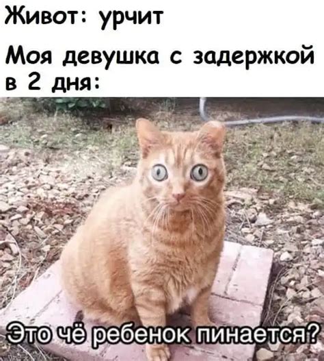 Деградация » uCrazy.org - Источник Хорошего Настроения