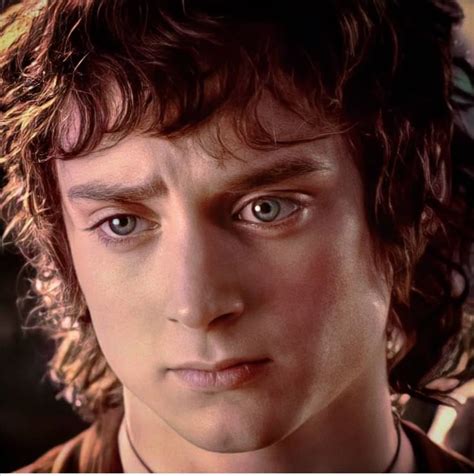Pin by Laura on skincare frodo | Frodo baggins, Lord of the rings, The ...