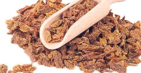 Sivilcelere karşı arı zehri ve propolis - Sağlık Haberleri