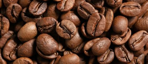 ALL YOU NEED TO KNOW ABOUT COFFEE PRODUCTION