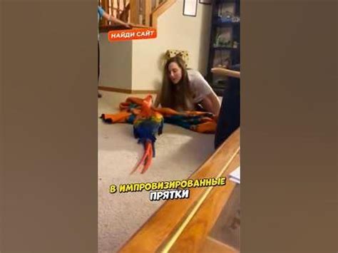 Очень драматичная птичка 🤣 - YouTube