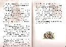 Книга: Чудеса в решете - Михаил Каришнев-Лубоцкий. Купить книгу, читать ...