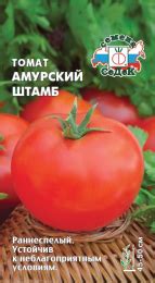 Семена томата оптом и в розницу - цены, купить семена помидора с ...