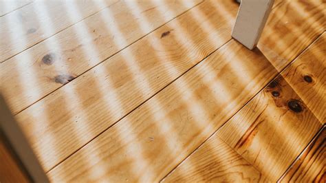 What Causes Creaky Floorboards - Carpet Vidalondon