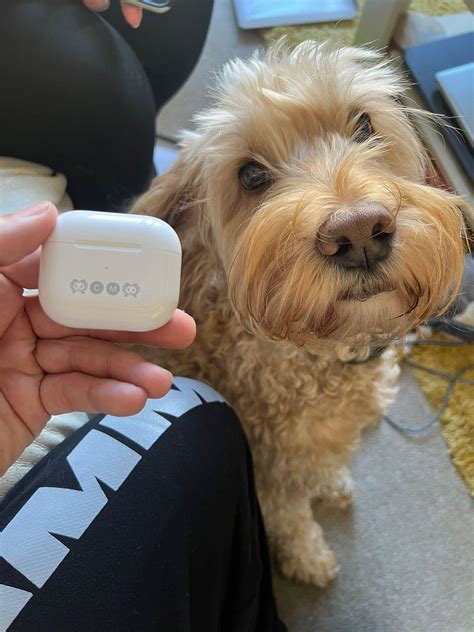 Rachael Langdon - Apple AirPods 3rd Generation - Competition Arcade