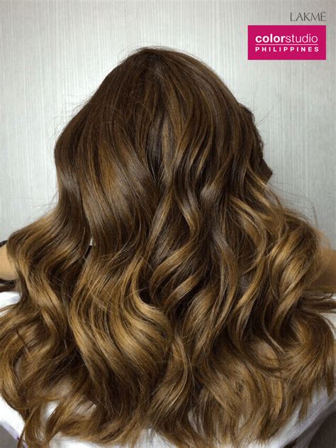 Golden Chestnut Balayage Beauty