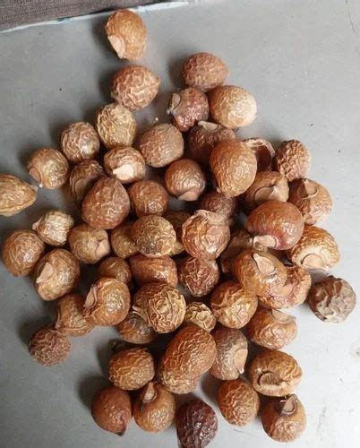 organic soap nut  herbs  rs kg  kanpur id