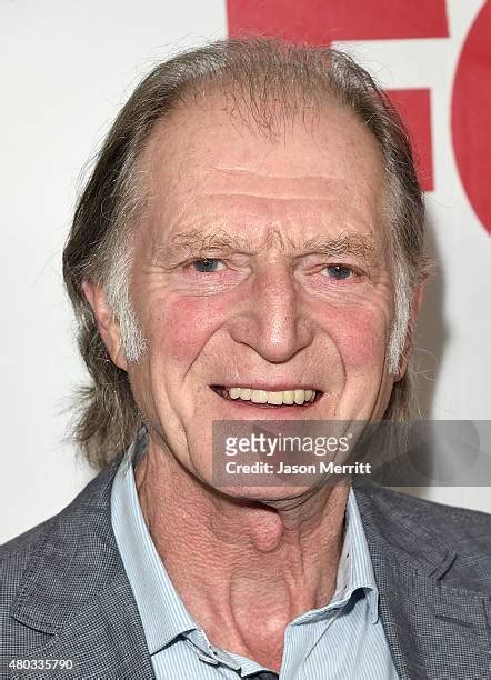 1,181 David Bradley (American Actor) Stock Photos, High-Res Pictures ...