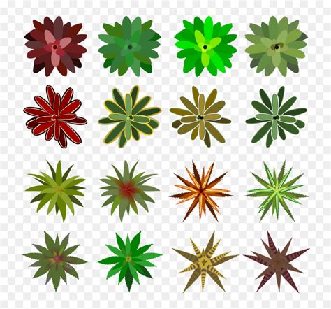 Petal,plant,flower - Plants Top View Png Drawing, Transparent Png - vhv