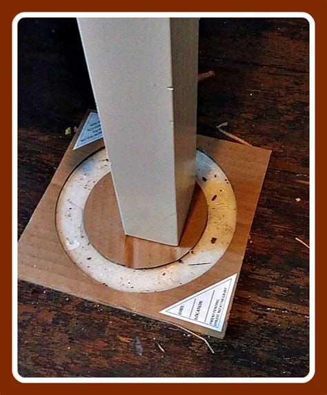 Bed Bug Traps
