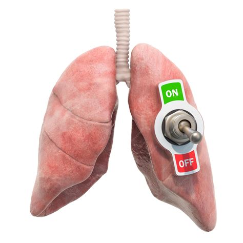 Premium Photo | Lungs disease concept human lungs with toggle switch 3d