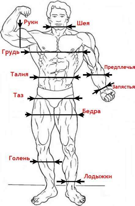 Как правильно себя измерить – Как правильно делать замеры тела и как ...