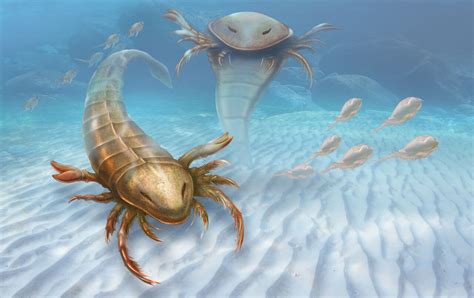 Fossilised 'giant sea scorpion' discovered in Iowa