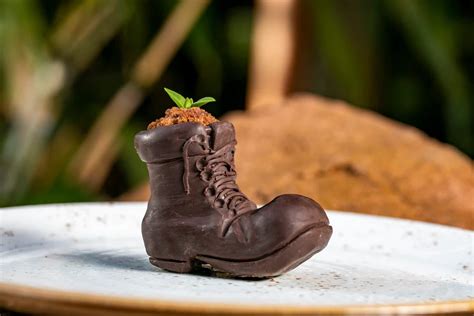 wall  plant  boot treat  celebrate earth day chip  company