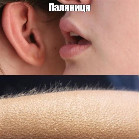 Мем: "Паляниця" - Все шаблоны - Meme-arsenal.com