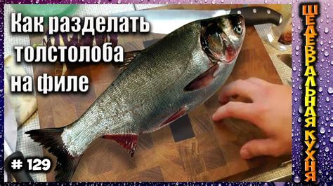 Как разделать толстолоба на филе #129. - YouTube
