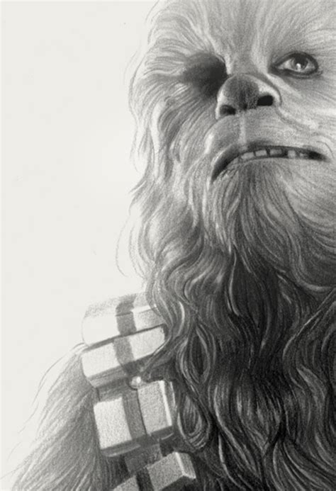 Chewbacca Drawing at PaintingValley.com | Explore collection of