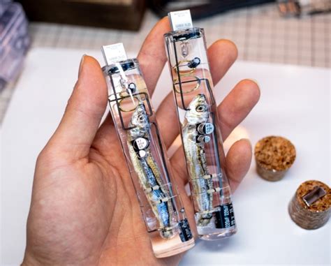 Необычная USB-флешка с селедкой » Развлекательный портал Sivator ...