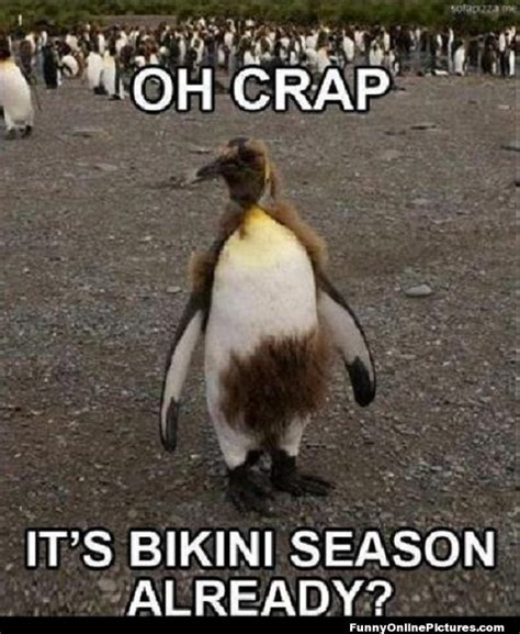 24 Memes That Prove Penguins Are The Funniest Animals On Earth Funny ...