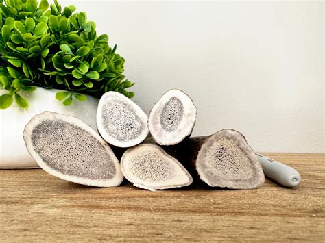 Elk Antler Dog Chews - All Natural [Premium Quality] [Real Naturally