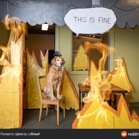 This is fine. : r/funny