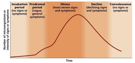 lecture   disease progression flashcards quizlet