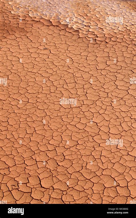 natural pattern texture abstract  background  nature stock photo