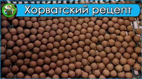 Самодельные бойлы - Хорватский рецепт бойлов - YouTube